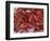 Crayfish in Bergen's Fish Market, Norway-Russell Young-Framed Photographic Print