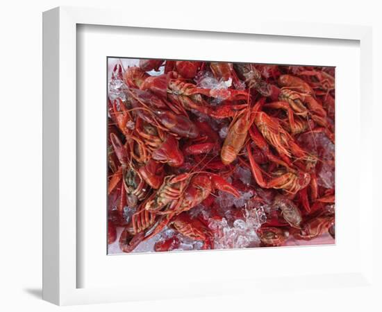 Crayfish in Bergen's Fish Market, Norway-Russell Young-Framed Photographic Print