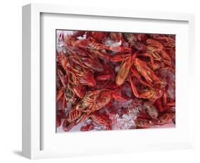 Crayfish in Bergen's Fish Market, Norway-Russell Young-Framed Photographic Print