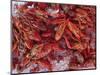 Crayfish in Bergen's Fish Market, Norway-Russell Young-Mounted Photographic Print
