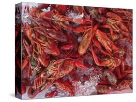 Crayfish in Bergen's Fish Market, Norway-Russell Young-Stretched Canvas