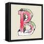 Crayon Alphabet, Hand Drawn Letter B-Andriy Zholudyev-Framed Stretched Canvas