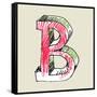 Crayon Alphabet, Hand Drawn Letter B-Andriy Zholudyev-Framed Stretched Canvas