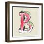 Crayon Alphabet, Hand Drawn Letter B-Andriy Zholudyev-Framed Art Print