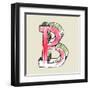 Crayon Alphabet, Hand Drawn Letter B-Andriy Zholudyev-Framed Art Print