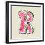 Crayon Alphabet, Hand Drawn Letter R-Andriy Zholudyev-Framed Art Print