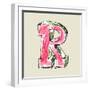 Crayon Alphabet, Hand Drawn Letter R-Andriy Zholudyev-Framed Art Print