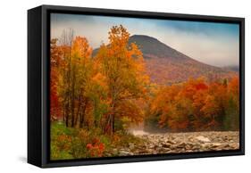 Crazy Autumn Color, White Mountains New Hampshire New England-Vincent James-Framed Stretched Canvas