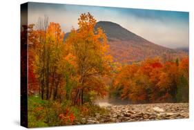 Crazy Autumn Color, White Mountains New Hampshire New England-Vincent James-Stretched Canvas