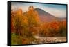 Crazy Autumn Color, White Mountains New Hampshire New England-Vincent James-Framed Stretched Canvas