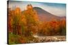 Crazy Autumn Color, White Mountains New Hampshire New England-Vincent James-Stretched Canvas