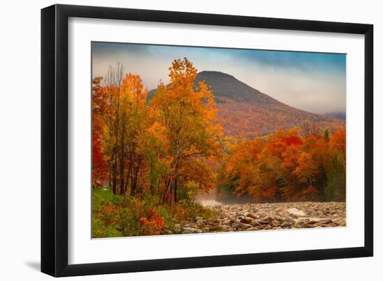 Crazy Autumn Color, White Mountains New Hampshire New England-Vincent James-Framed Premium Photographic Print