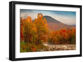 Crazy Autumn Color, White Mountains New Hampshire New England-Vincent James-Framed Premium Photographic Print