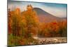 Crazy Autumn Color, White Mountains New Hampshire New England-Vincent James-Mounted Premium Photographic Print