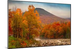 Crazy Autumn Color, White Mountains New Hampshire New England-Vincent James-Mounted Premium Photographic Print