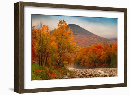 Crazy Autumn Color, White Mountains New Hampshire New England-Vincent James-Framed Photographic Print