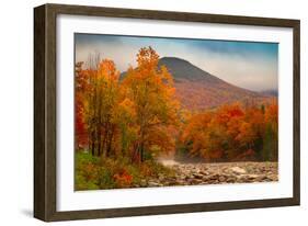 Crazy Autumn Color, White Mountains New Hampshire New England-Vincent James-Framed Photographic Print