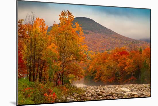 Crazy Autumn Color, White Mountains New Hampshire New England-Vincent James-Mounted Photographic Print