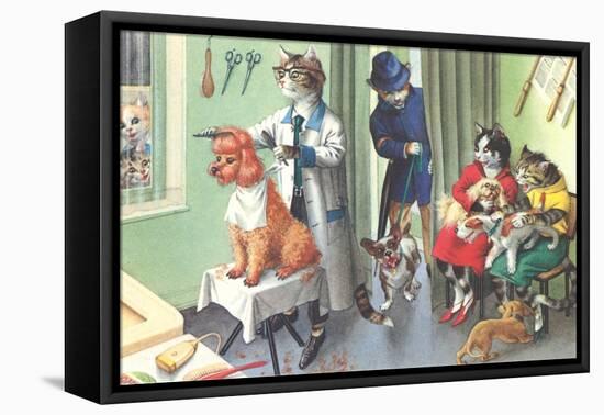 Crazy Cats at the Dog Groomer-null-Framed Stretched Canvas