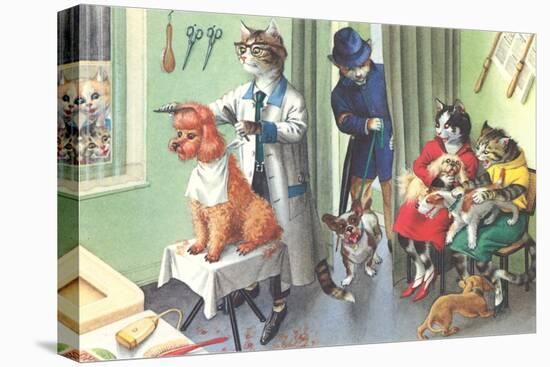 Crazy Cats at the Dog Groomer-null-Stretched Canvas