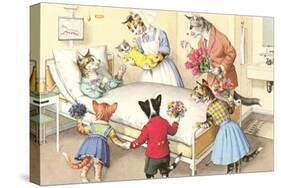 Crazy Cats at the Hospital-null-Stretched Canvas