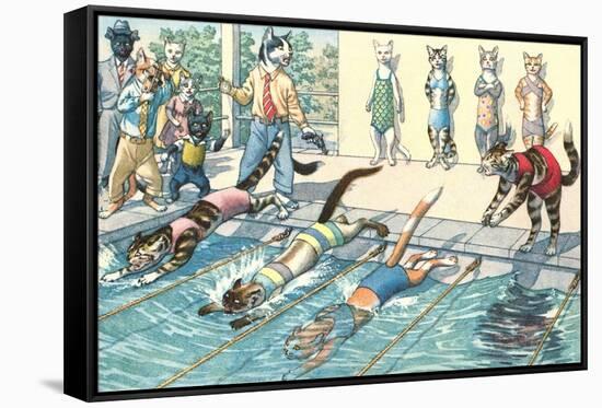 Crazy Cats at the Swim Meet-null-Framed Stretched Canvas