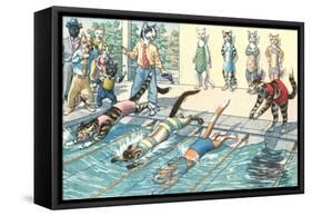 Crazy Cats at the Swim Meet-null-Framed Stretched Canvas