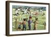 Crazy Cats at the Track Meet-null-Framed Art Print