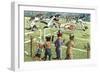 Crazy Cats at the Track Meet-null-Framed Art Print