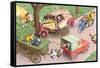 Crazy Cats Crash Car-null-Framed Stretched Canvas