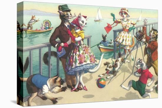 Crazy Cats on the Ocean Pier-null-Stretched Canvas