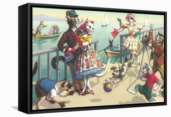 Crazy Cats on the Ocean Pier-null-Framed Stretched Canvas