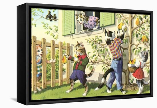 Crazy Cats Picking Pears-null-Framed Stretched Canvas