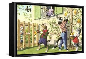 Crazy Cats Picking Pears-null-Framed Stretched Canvas