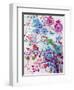 Crazy Garden-Oxana Zaika-Framed Giclee Print