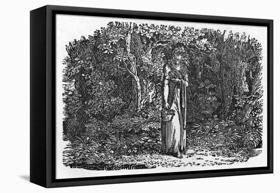 Crazy Jane-Thomas Bewick-Framed Stretched Canvas