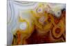 Crazy Lace Agate from Mexico-Darrell Gulin-Mounted Photographic Print