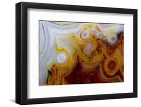 Crazy Lace Agate from Mexico-Darrell Gulin-Framed Photographic Print