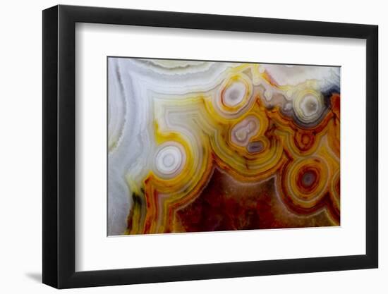 Crazy Lace Agate from Mexico-Darrell Gulin-Framed Photographic Print