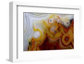 Crazy Lace Agate from Mexico-Darrell Gulin-Framed Photographic Print