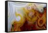 Crazy Lace Agate from Mexico-Darrell Gulin-Framed Stretched Canvas