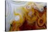 Crazy Lace Agate from Mexico-Darrell Gulin-Stretched Canvas