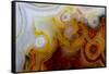 Crazy Lace Agate from Mexico-Darrell Gulin-Framed Stretched Canvas