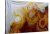 Crazy Lace Agate from Mexico-Darrell Gulin-Stretched Canvas