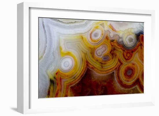 Crazy Lace Agate from Mexico-Darrell Gulin-Framed Photographic Print