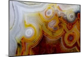 Crazy Lace Agate from Mexico-Darrell Gulin-Mounted Photographic Print