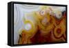 Crazy Lace Agate from Mexico-Darrell Gulin-Framed Stretched Canvas