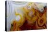 Crazy Lace Agate from Mexico-Darrell Gulin-Stretched Canvas