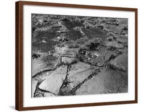 Crazy Paving-null-Framed Photographic Print