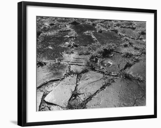 Crazy Paving-null-Framed Photographic Print